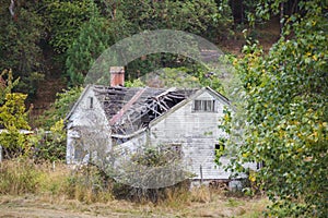 Dilapidated House in Forested Area