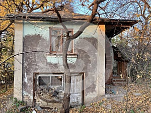 A dilapidated mansion among the trees. Abandoned, ruined building in the garden. Old skewed house in the village