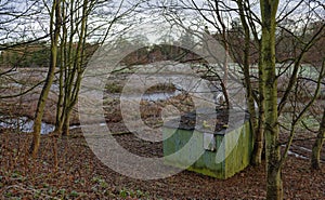 A dilapidated Old Tin Hut situated amongst the bare trees next to a Fairway of an abandoned Golf course.