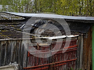 Dilapidated sheds in spring