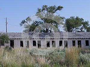 Dilapidated structure covered by shrubs at Glenrio, one of America`s ghost towns