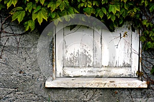 Dilapidated window sill