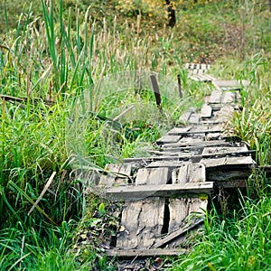 Dilapidated wooden footpath