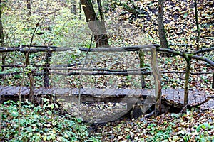 An old wooden bridge across a forest stream in the autumn forest