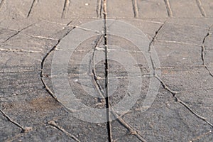 Dilatation joint on surfaces of stamped concrete pavement