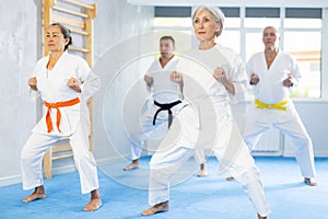 Diligent elderly women and men attendee of karate classes practicing kata standing in row with others in sports gym