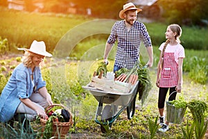 Diligent farmers family