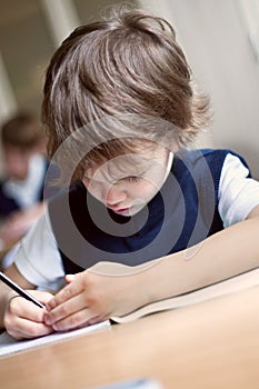 Diligent student sitting at desk, classroom