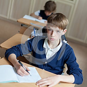 Diligent student sitting at desk, classroom