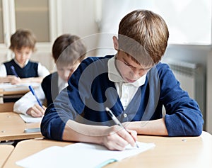 Diligent student sitting at desk, classroom