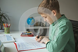 Diligent tenn student studying at home during online course