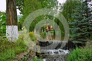 DIlijan in Armenia pines, trees, river, nature