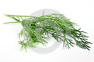 Dill