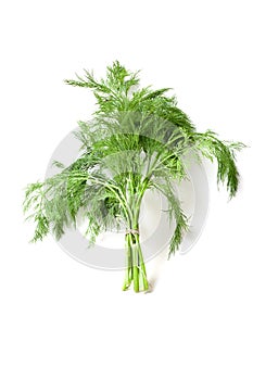 Dill