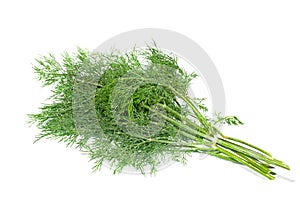 Dill photo