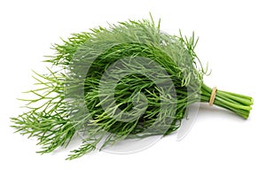 Dill photo