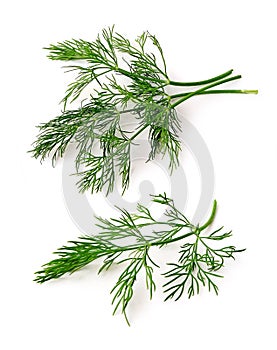 Dill