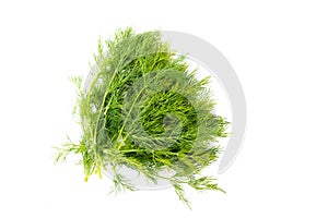 Dill against white