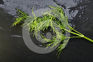 Dill on a black background.