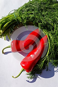 Dill bunch tied with elastic plus red peppers