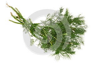Dill