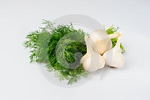 Dill and garlic on white background