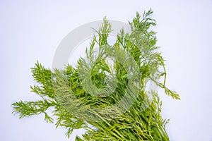 Dill Leaves aka Saunf Leaf Vegatable in White Background