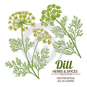 Dill plant vector set