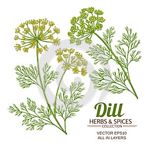 Dill plant vector set photo