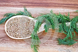 Dill Seed and Weed