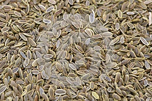 dill seeds closeup