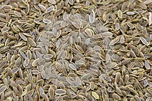 dill seeds closeup photo