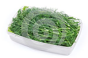 Dill twigs in an open plastic food container