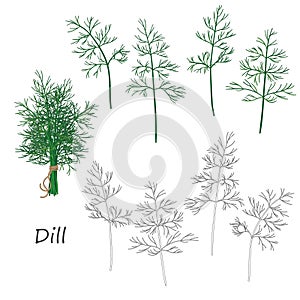 Dill Twigs Set