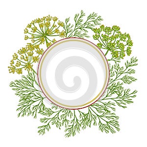 Dill vector frame