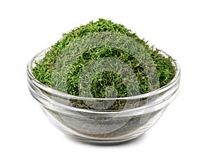 Dill weed