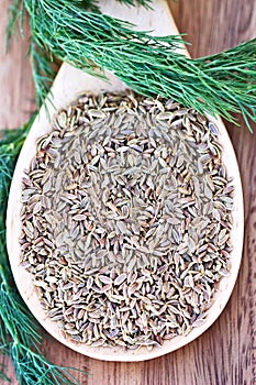 Dill Weed and Seed