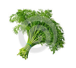 Dill on white