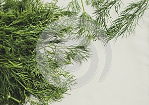 Dill on a white cloth