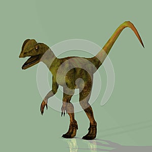 Dilophosaurus