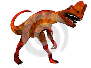 Dilophosaurus on White