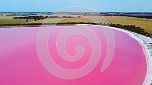 Dimboola pink lake Nature Reserve of western Victoria, Australia, vibrant colour from a salt tolerant alga.