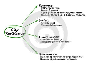 Dimensions of city resilience