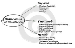 Dimensions of Resilience