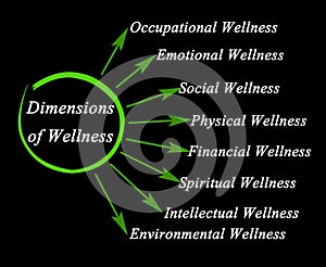 Dimensions of Wellness photo