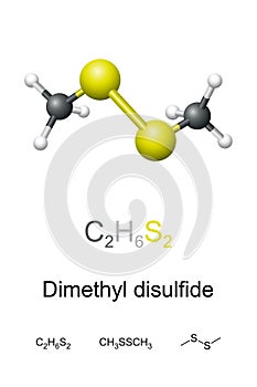 Dimethyl disulfide, DMDS, chemical formula and molecule model