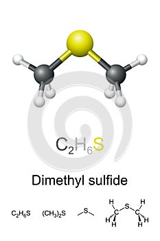 Dimethyl sulfide, DMS, chemical formula and molecule model