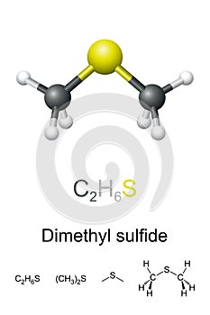 Dimethyl sulfide, DMS, chemical formula and molecule model photo