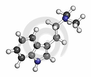 Dimethyltryptamine (DMT) psychedelic drug molecule. Present in the drink ayahuasca. 3D rendering. Atoms are represented as spheres