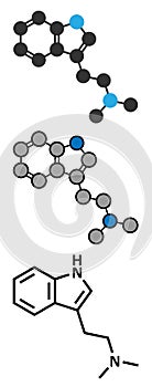 Dimethyltryptamine (DMT) psychedelic drug molecule. Present in the drink ayahuasca. Stylized 2D renderings and conventional